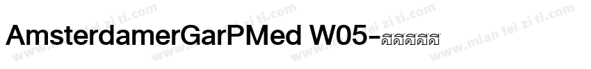 AmsterdamerGarPMed W05字体转换